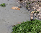 襄阳打好水质提升攻坚战