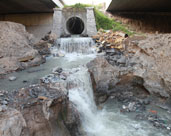 让废水变“活水”！镇海再生水“养”出生态湿地公园